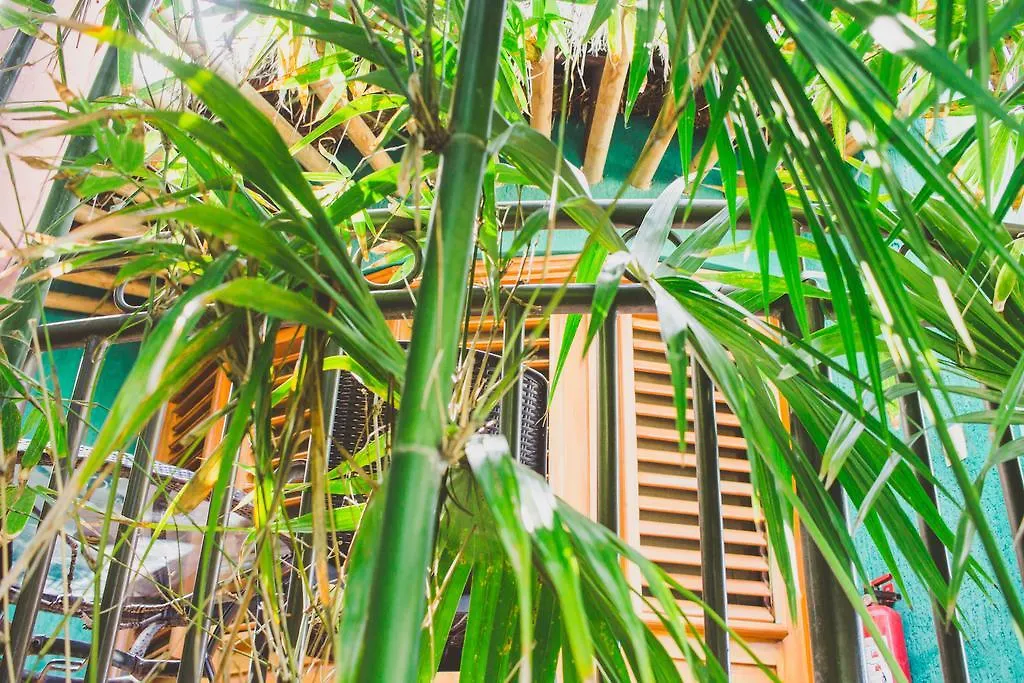 *** Hotel Cocos Cabanas Playa Del Carmen Adults Only Mexico