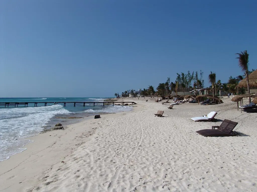 Cocos Cabanas Playa Del Carmen Adults Only