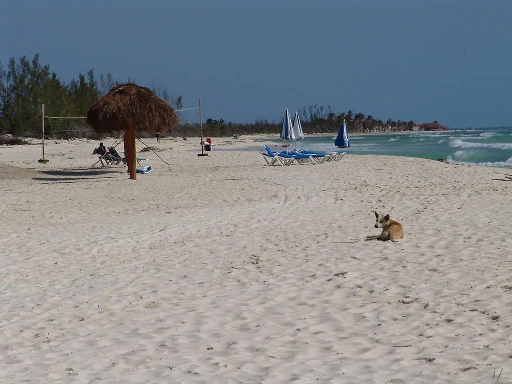 Cocos Cabanas Playa Del Carmen Adults Only Hotel