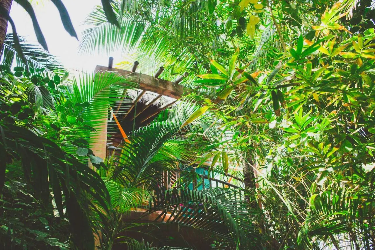 Cocos Cabanas Playa Del Carmen Adults Only