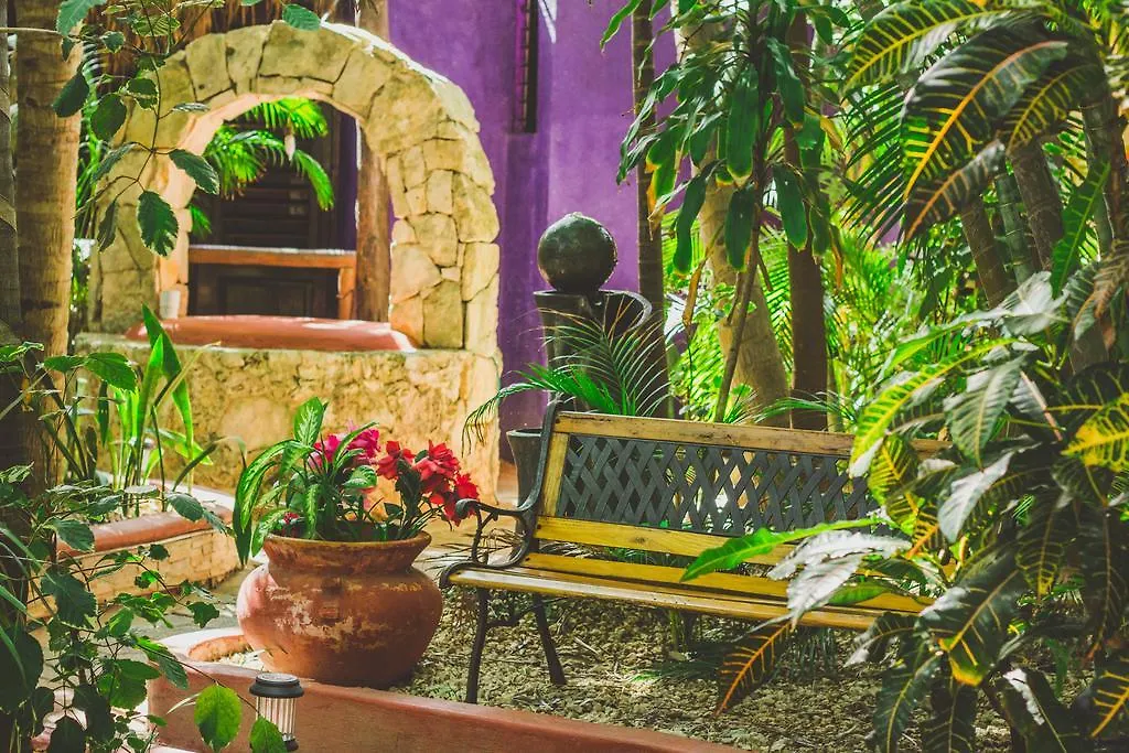 Hotel Cocos Cabanas Playa Del Carmen Adults Only