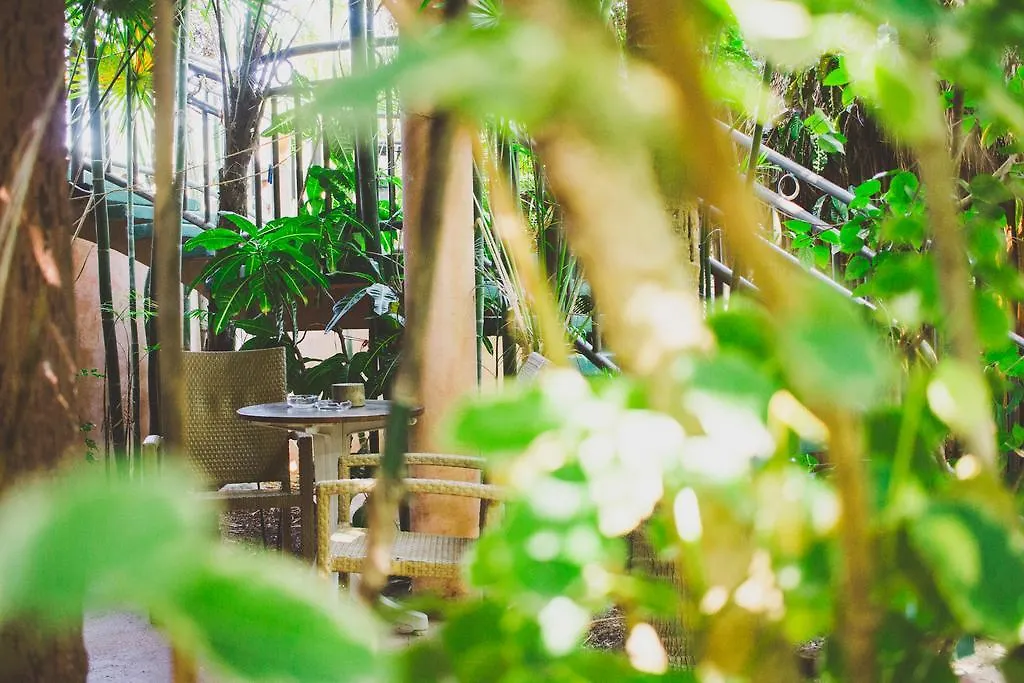 Cocos Cabanas Playa Del Carmen Adults Only Hotel