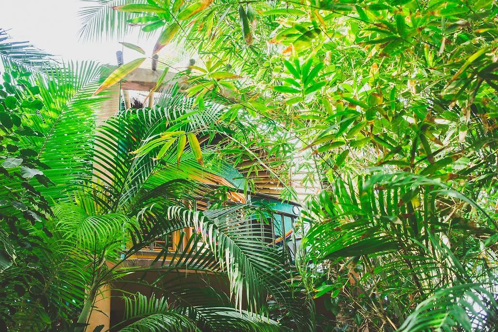 Hotel Cocos Cabanas Playa Del Carmen Adults Only