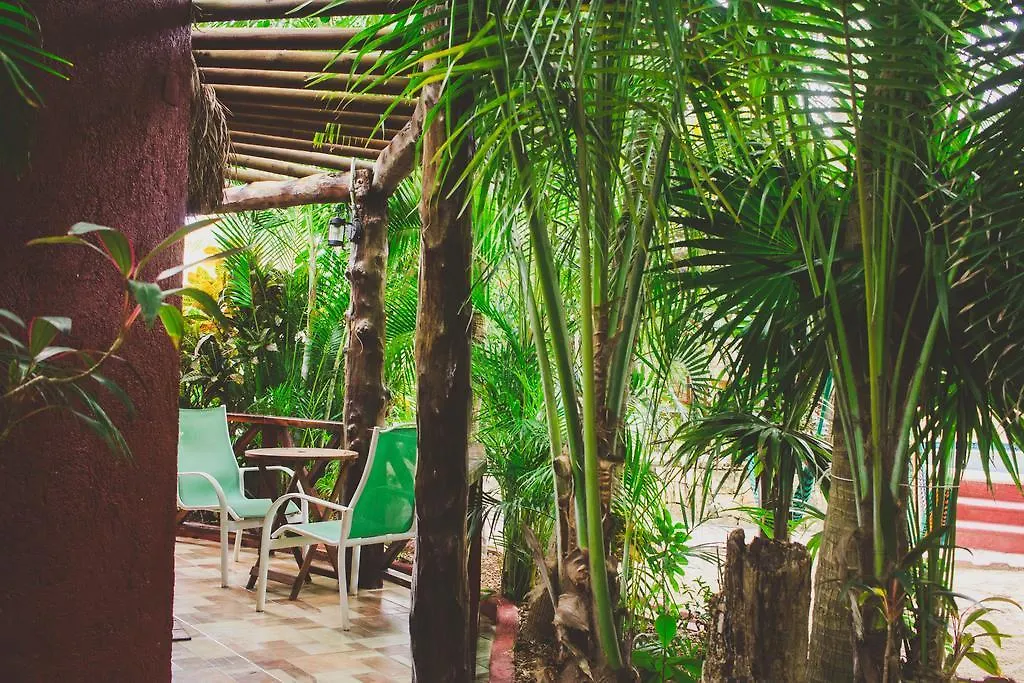 Cocos Cabanas Playa Del Carmen Adults Only Hotel