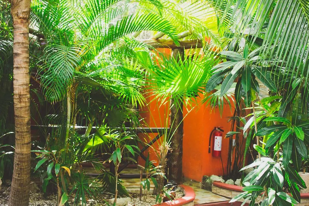 Hotel Cocos Cabanas Playa Del Carmen Adults Only